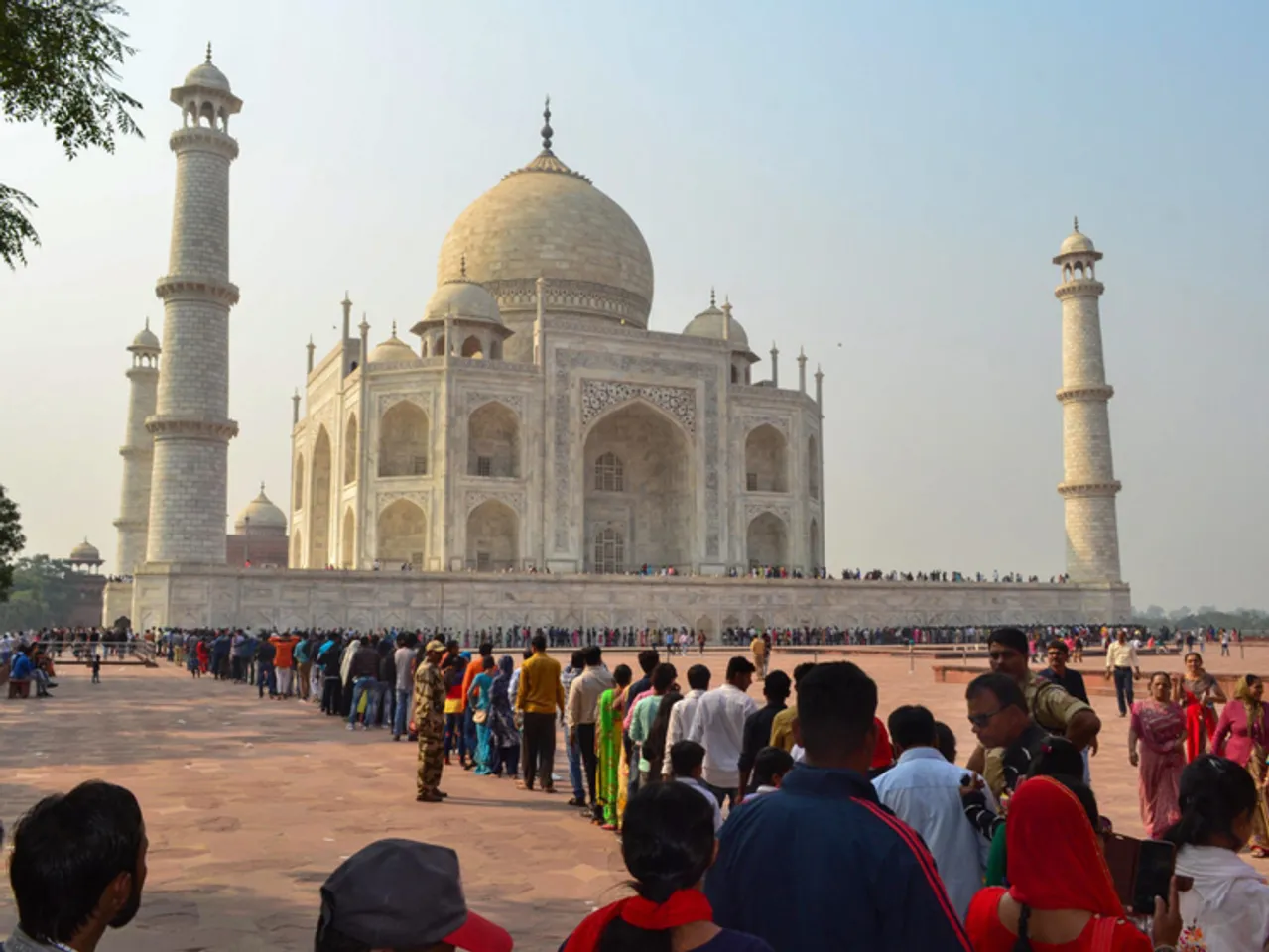 Python rescued from Taj Mahal