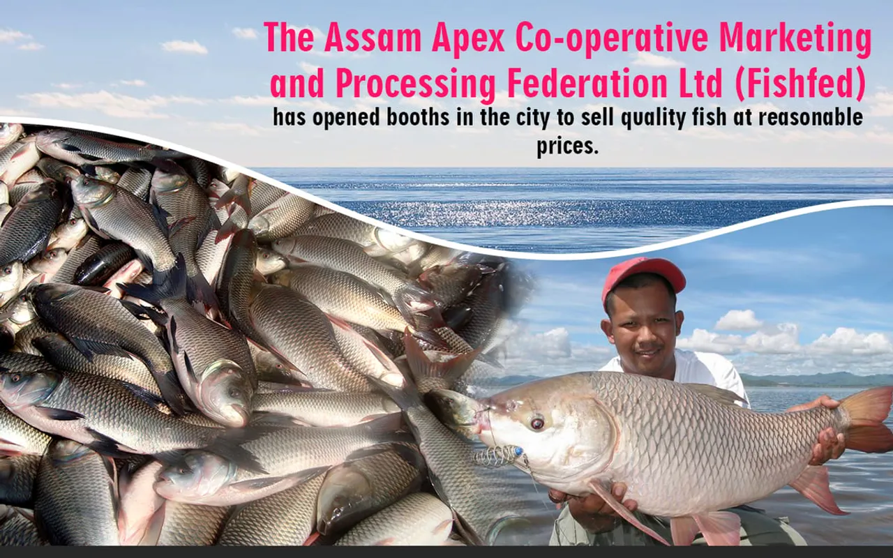 Imported Fish Being Sold in ‘Fishfed’