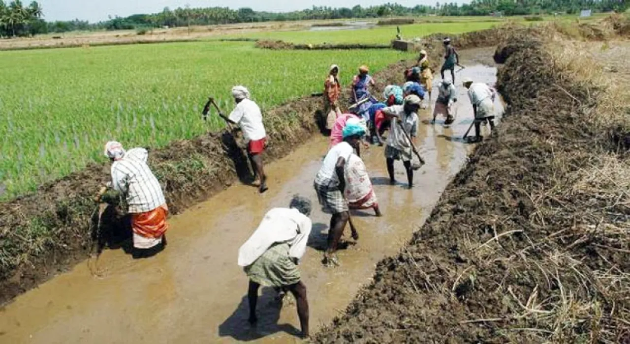 ASSAM : Only 3,445 Beneficiaries benefitted under MGNREGA