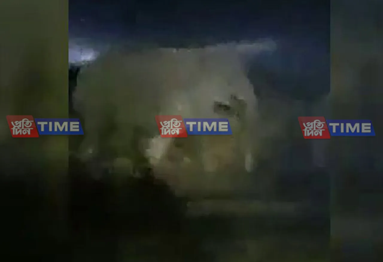 Wild elephant Terror continues in Teok