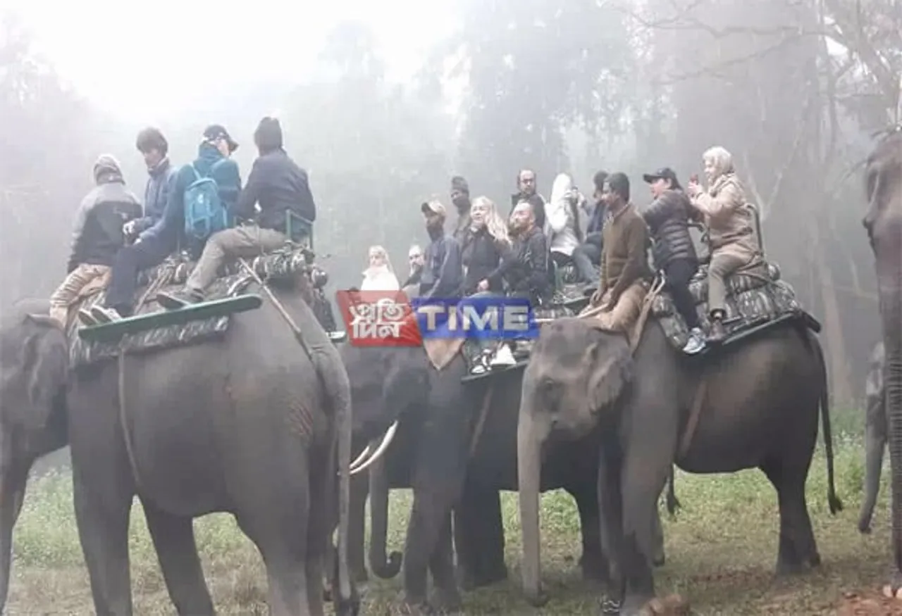 Kaziranga Is Full Of Foreign Tourists: Picture Story