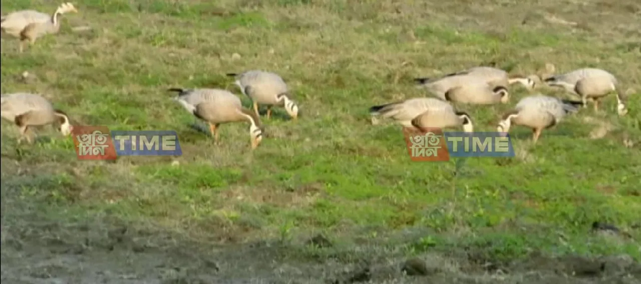 Aquatic Birds Census in KNP To Begin Today