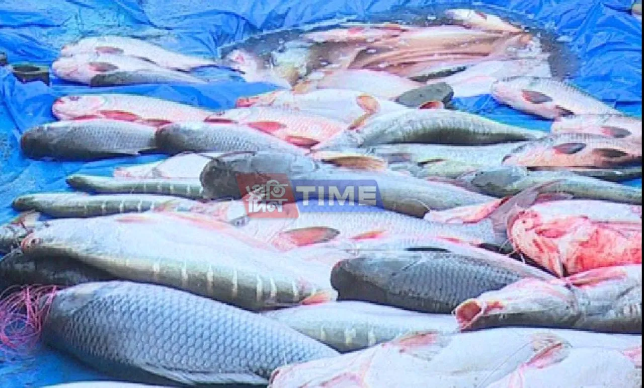 Assam Gears up to Celebrate ‘Uruka’