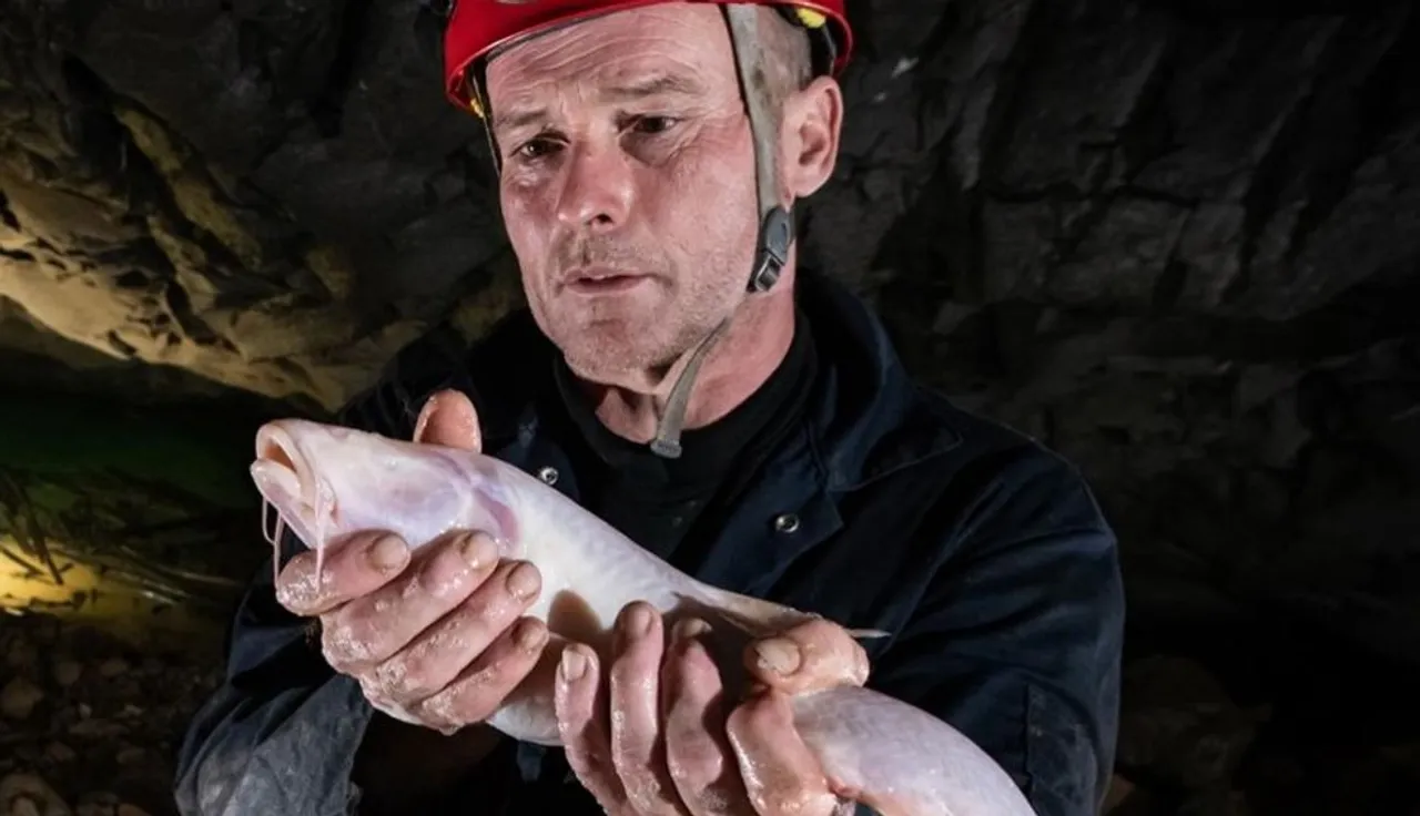 World’s biggest cavefish discovered in NE