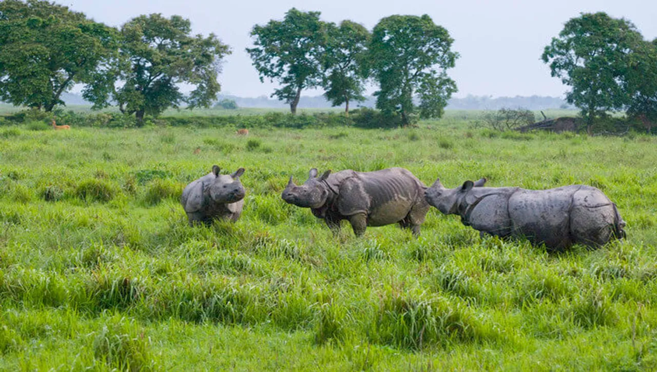 Coronavirus: Kaziranga Utsav 2020 cancelled