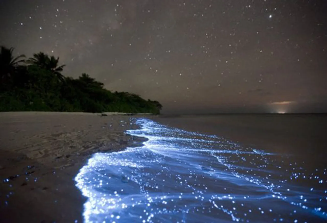 Acapulco Beach Waves Light Up With Bioluminescent Plankton