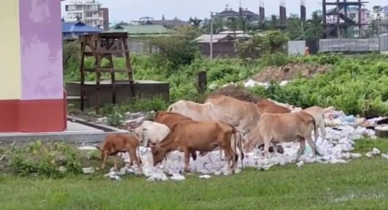Waste Materials in Kokrajhar Quarantine Centre Pose Threat to People