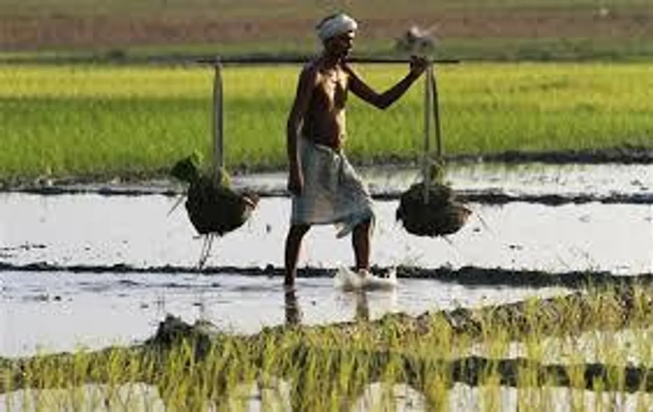Assam to create 100 Farmers’ Producers Company: CM Sonowal