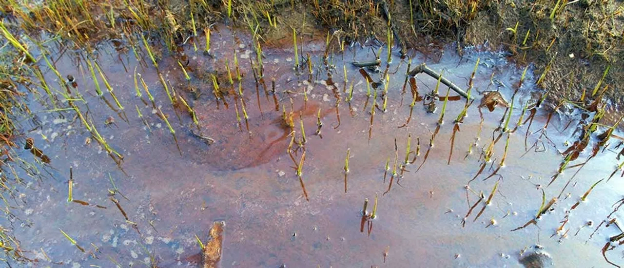 OIL technicians curb pipeline spill in Tinsukia