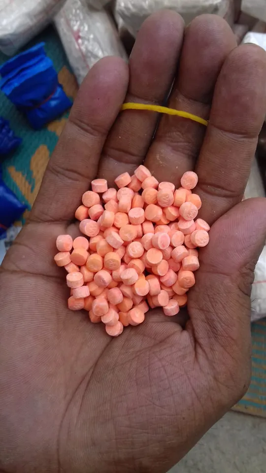 Huge Cache of Narcotics Recovered in Changsari
