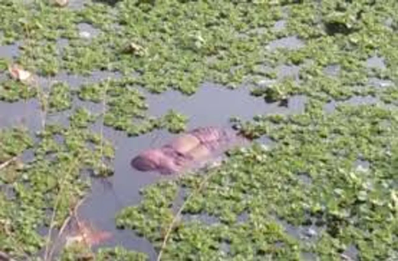 Dead Body Found in Pond in Doomdooma