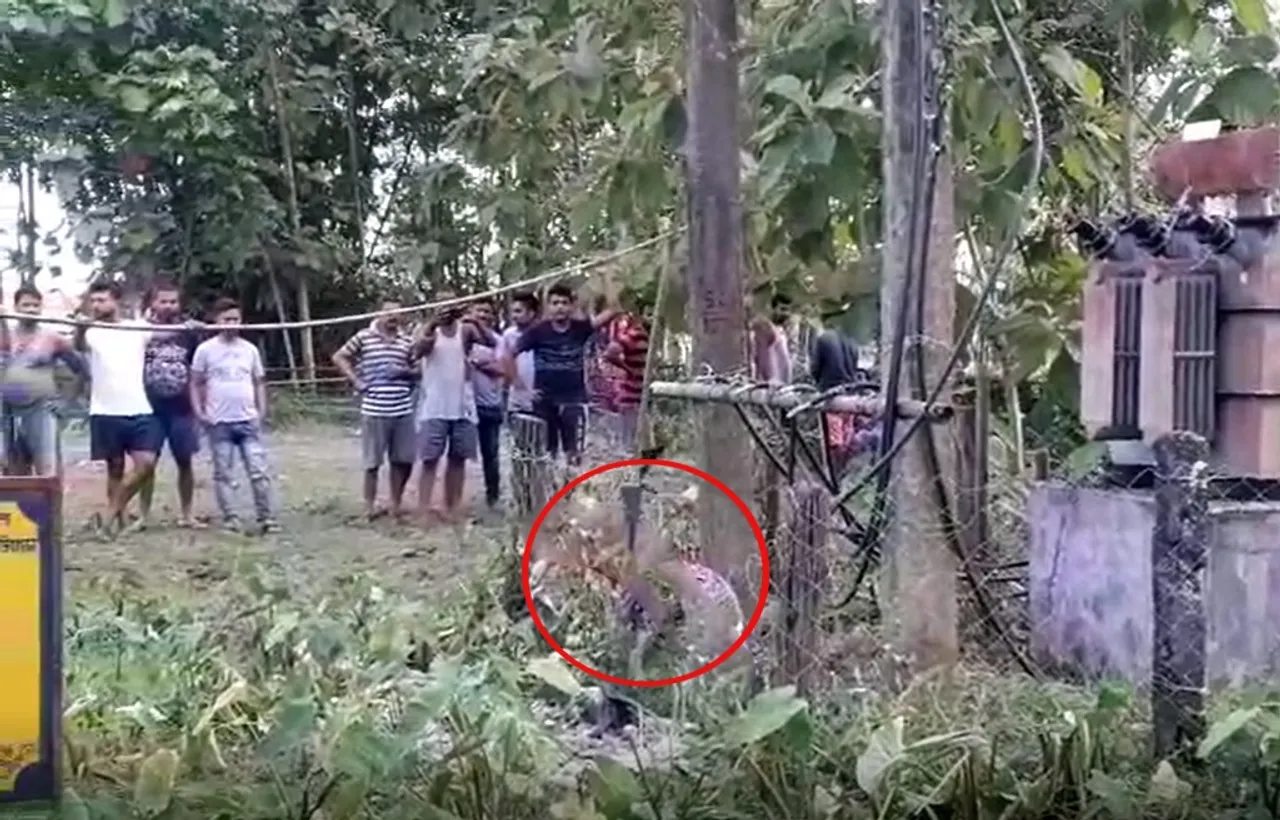 Nalbari: Body Found Stuck To Transformer