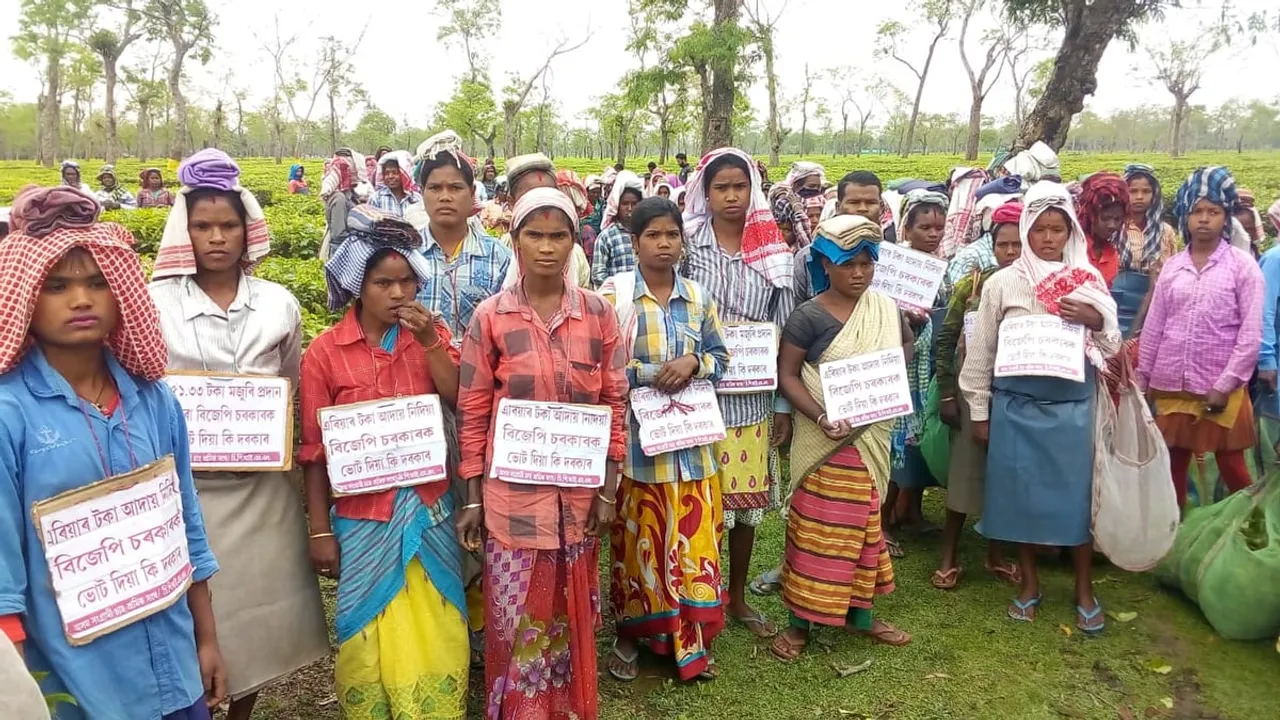 Protests Break Out At Tea Garden in Mariani