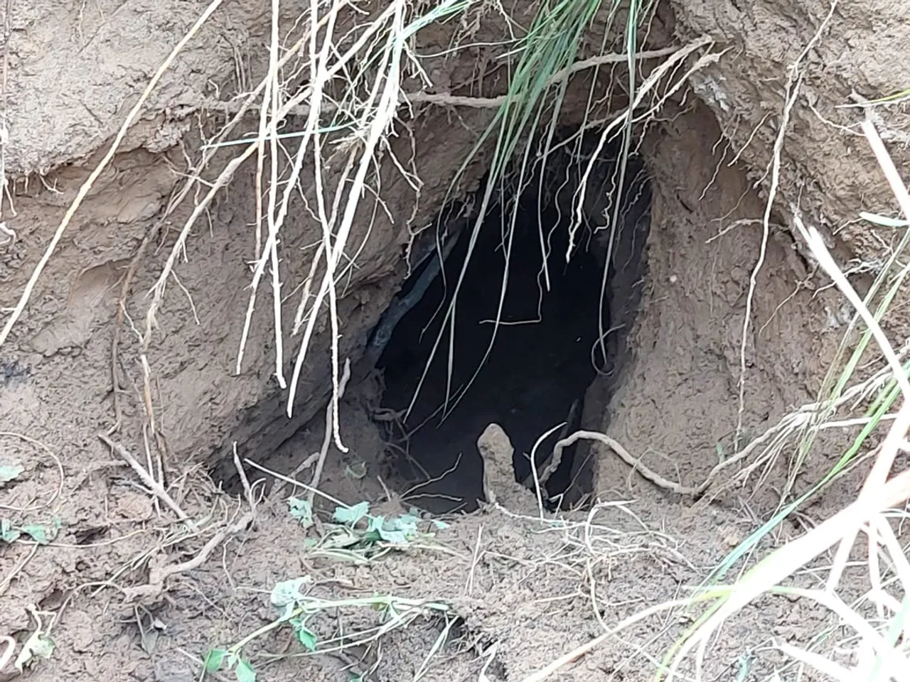 Tunnel Detected On India-Pak Border