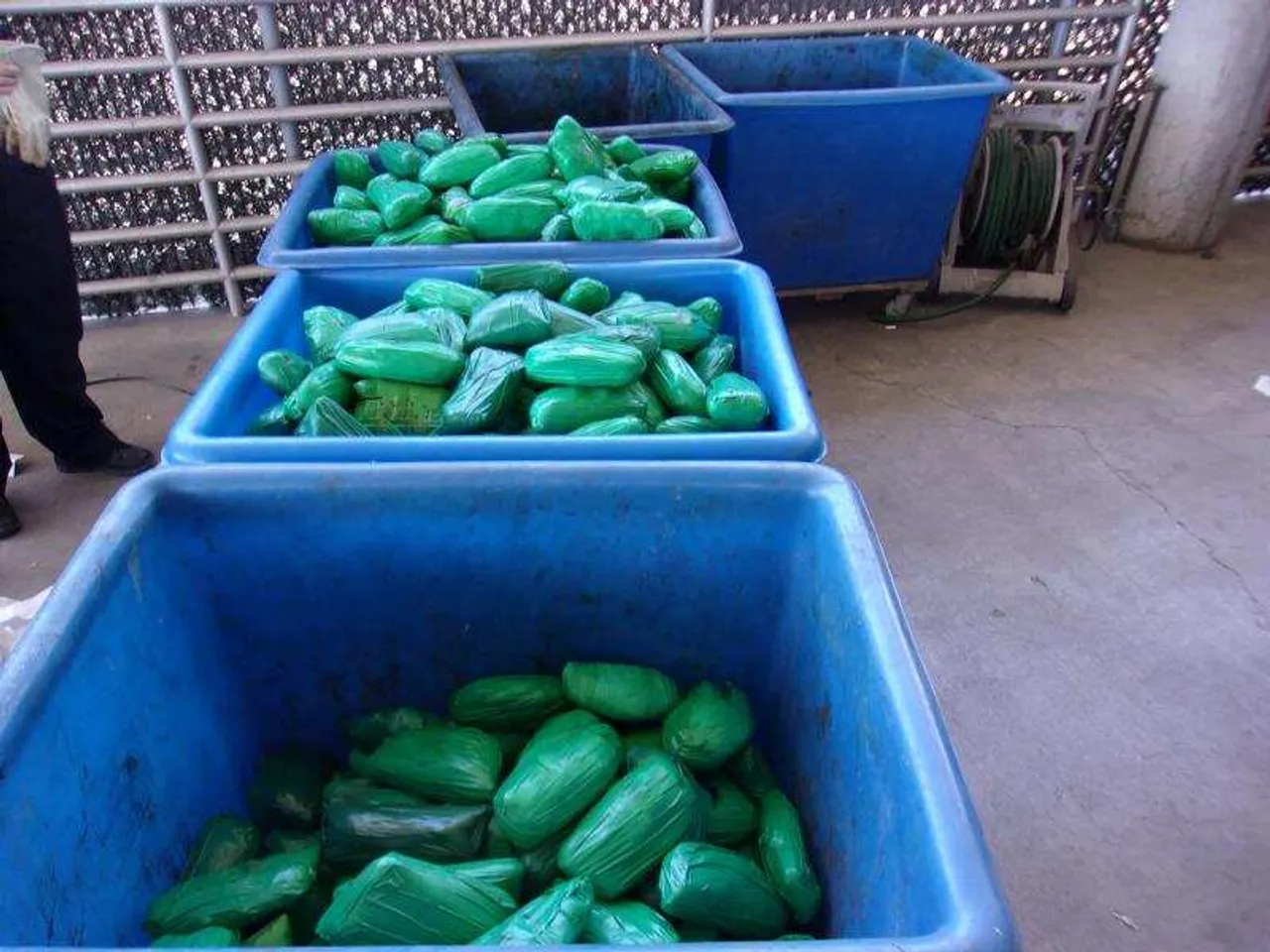 Illegal Drugs Seized in Guwahati