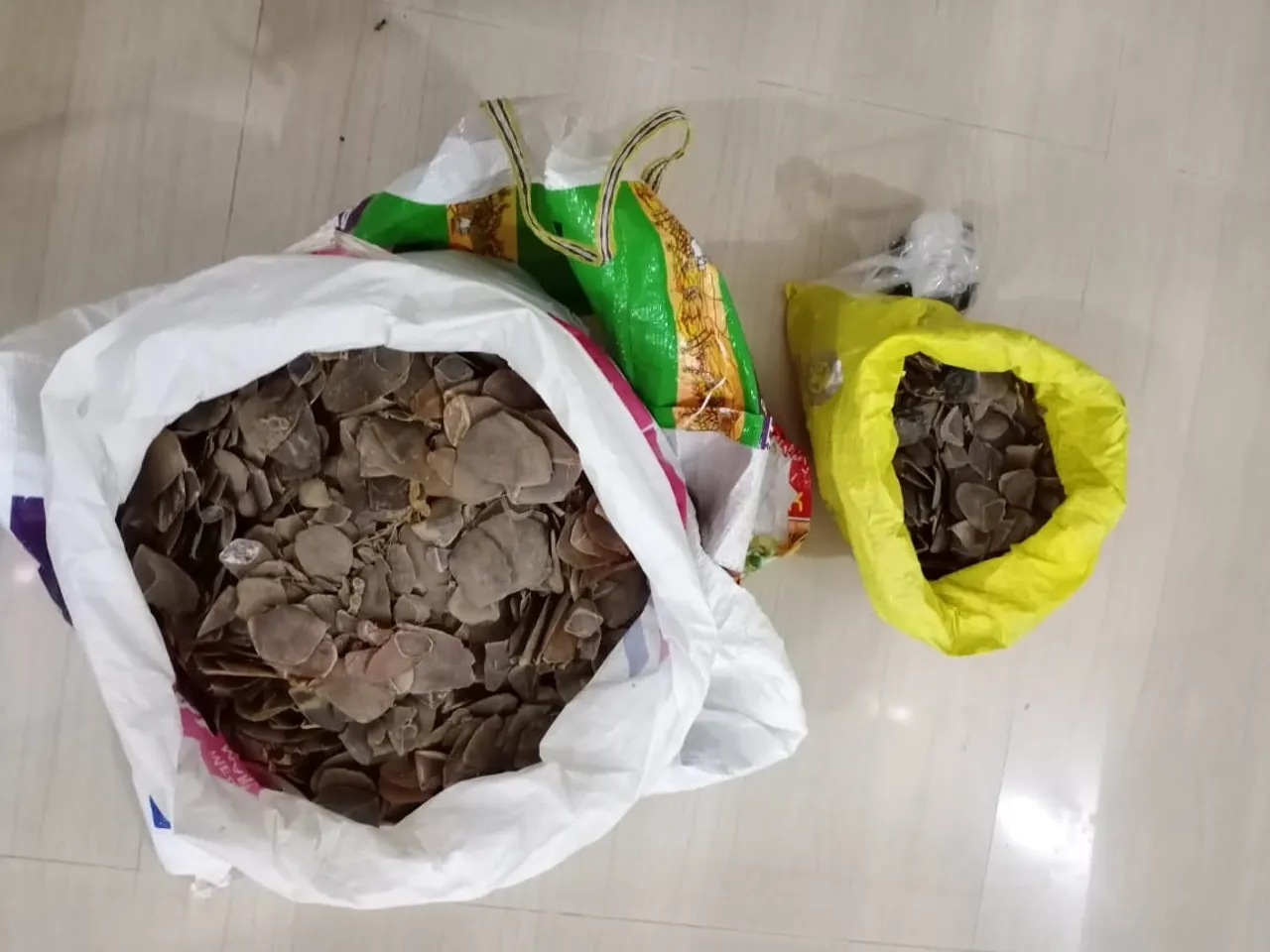 Hojai: 5 Poachers Arrested