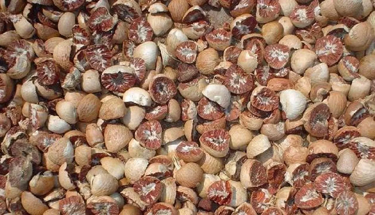 Ghy: ₹ 2.76 Cr Worth Areca Nuts Seized