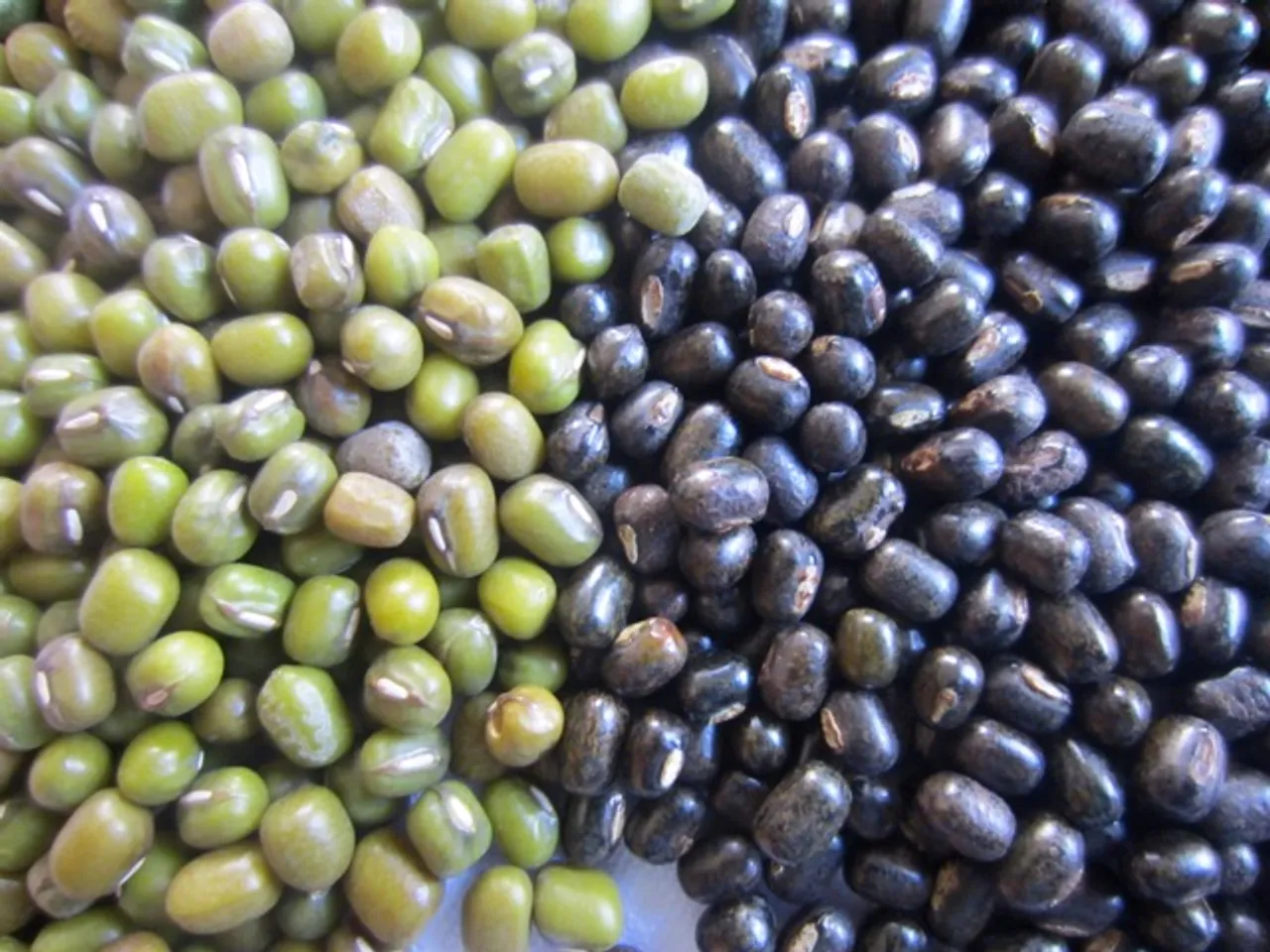 South Salamara: 200 Sacks Of Pulses Seized