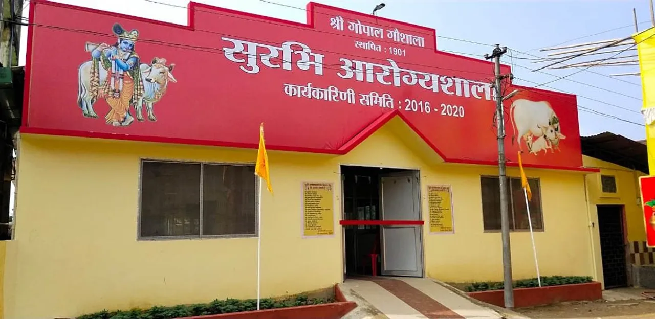 Northeast Gets First Cow Hospital In Assam
