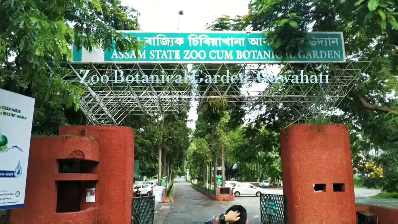 Assam Zoo To Open From Dec 1|Guidelines