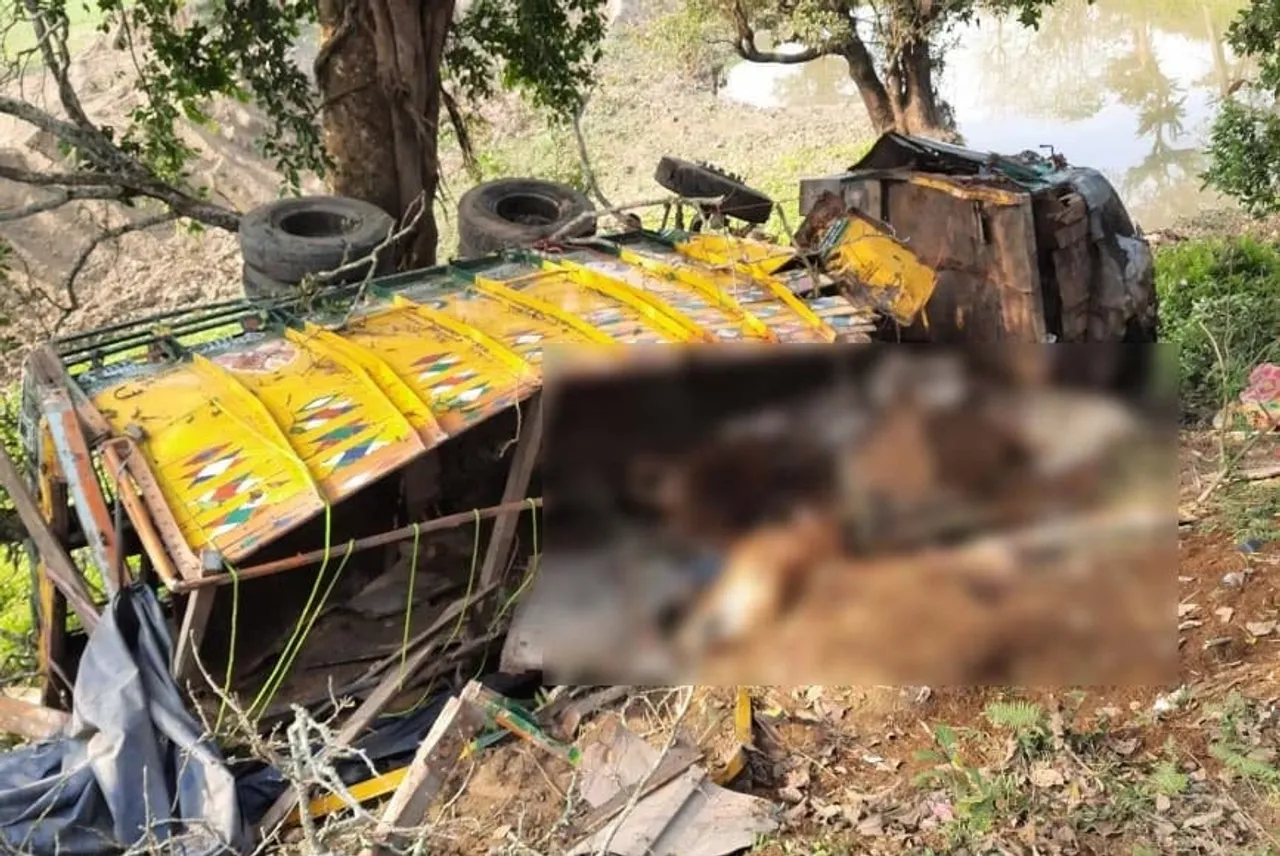 Koliabor: 12 Cattle Heads Killed As Truck Falls Into Gorge