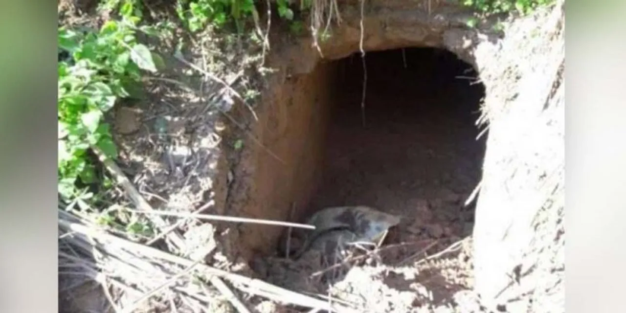 Karimganj: 200-Meter-Long India-Bangladesh Tunnel Discovered