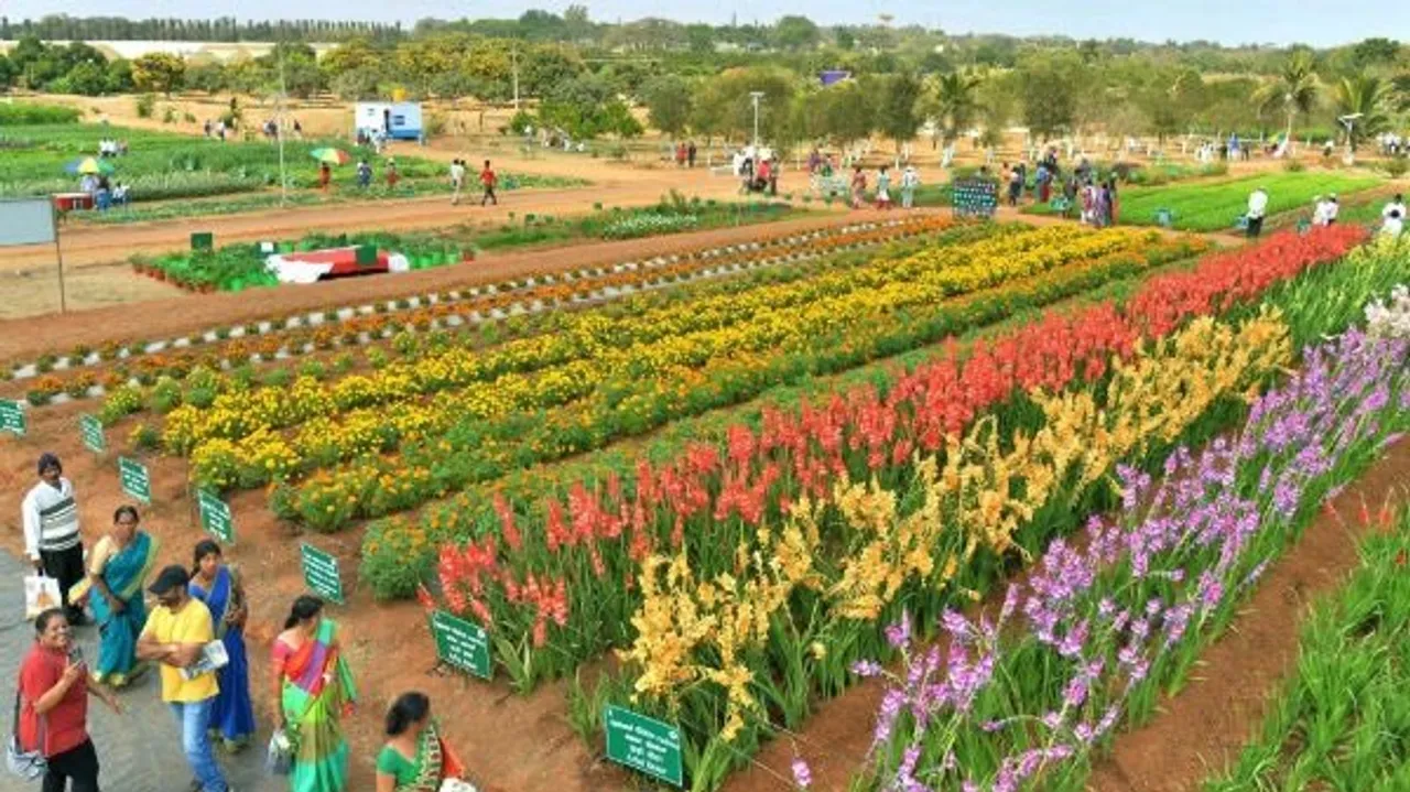 National Horticulture Fair 2021 From Jan 21-23 In Bokakhat