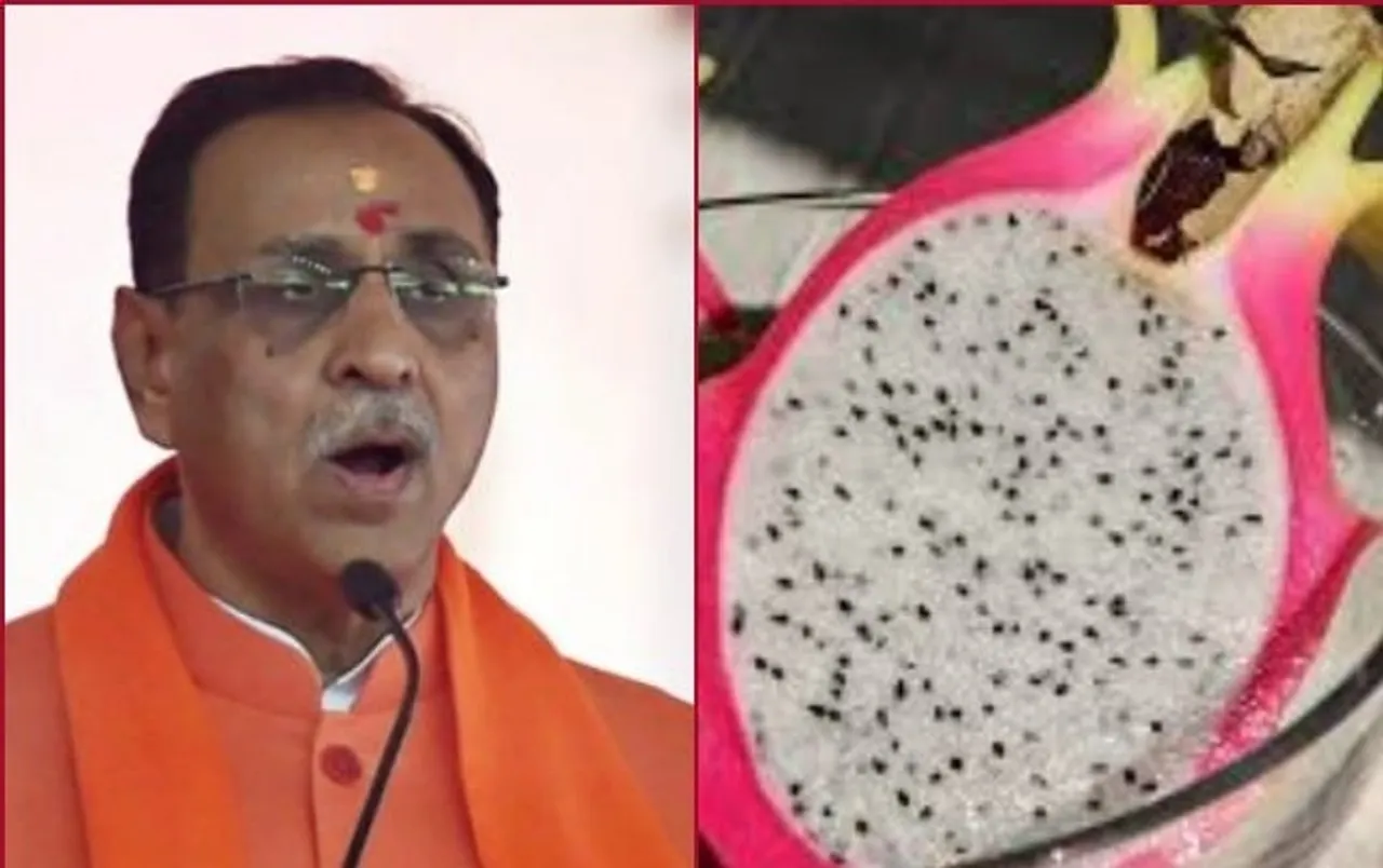 Gujarat Govt Renames Dragon Fruit As ‘Kamalam’