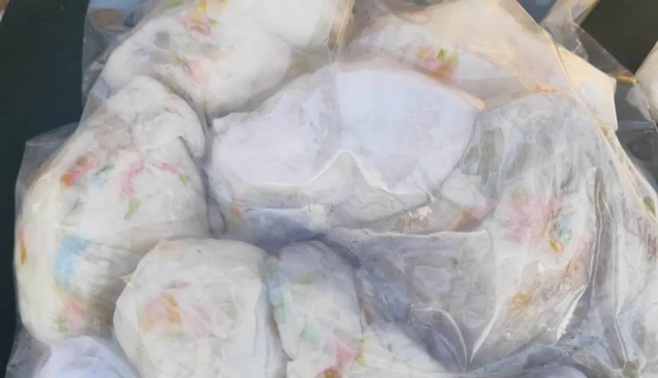 Mizoram: Assam Rifles Seizes Tortoises, Reptiles