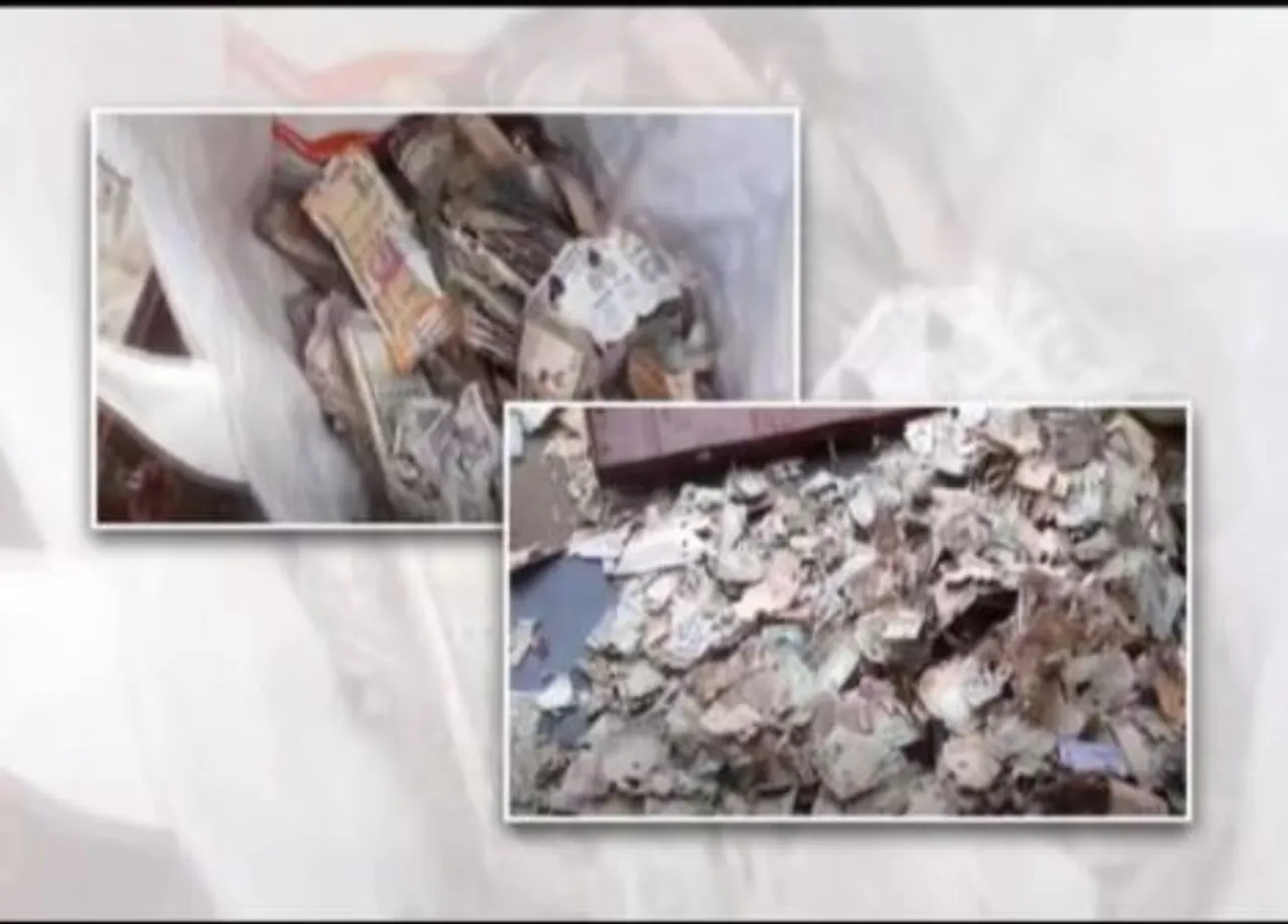 Termites Eat ₹ 5 lakh Cash Kept In Trunk