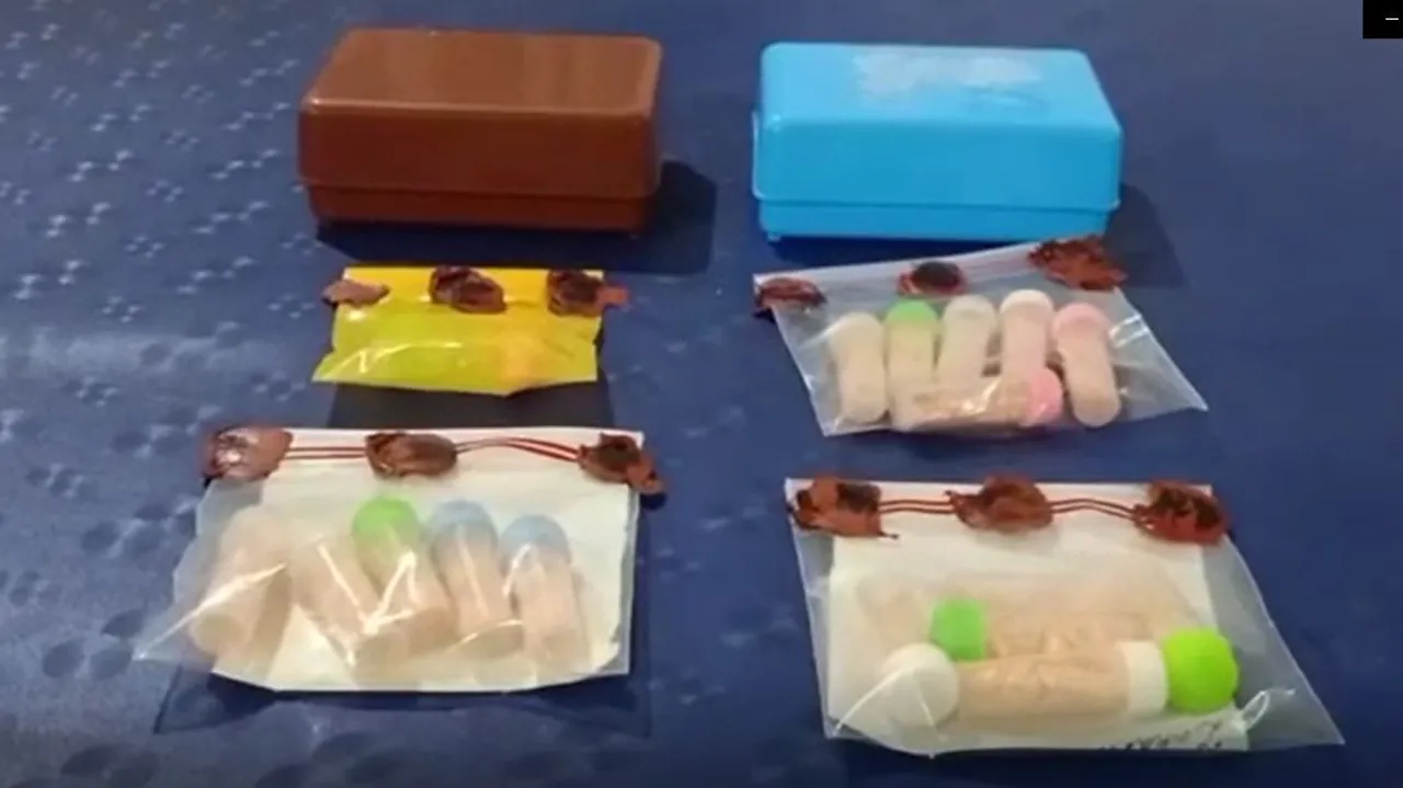 Barpeta: Huge Amount of Drugs Seized, 2 Held