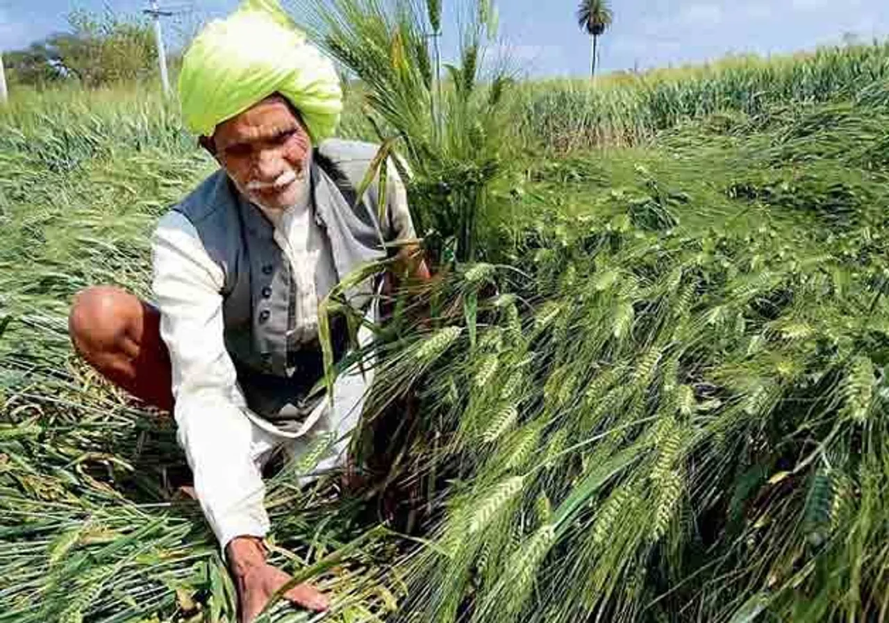 UP: Farmers Destroy Crops In Protest Against Farm Laws