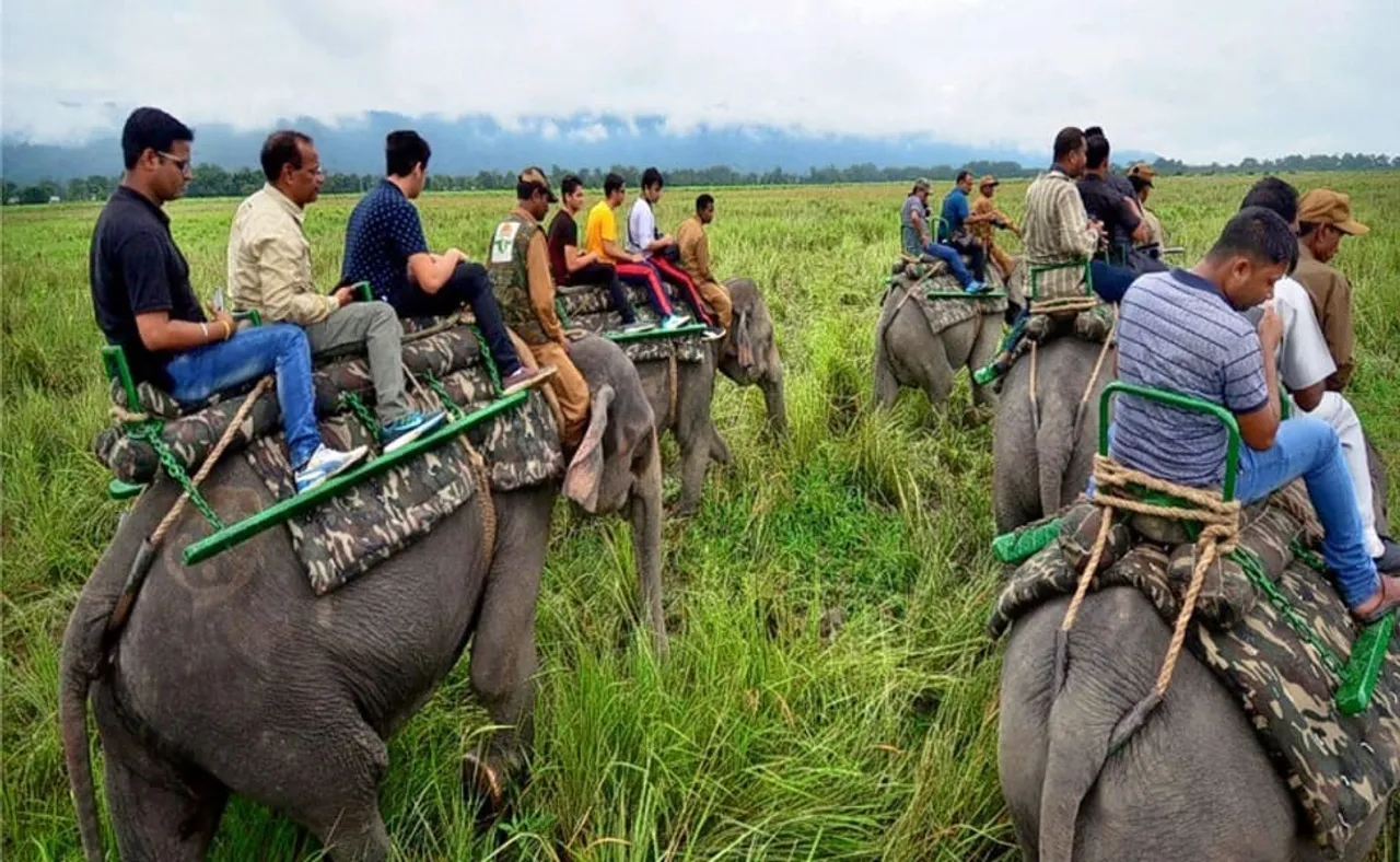Elephant Safari in Kaziranga To Close from April 30