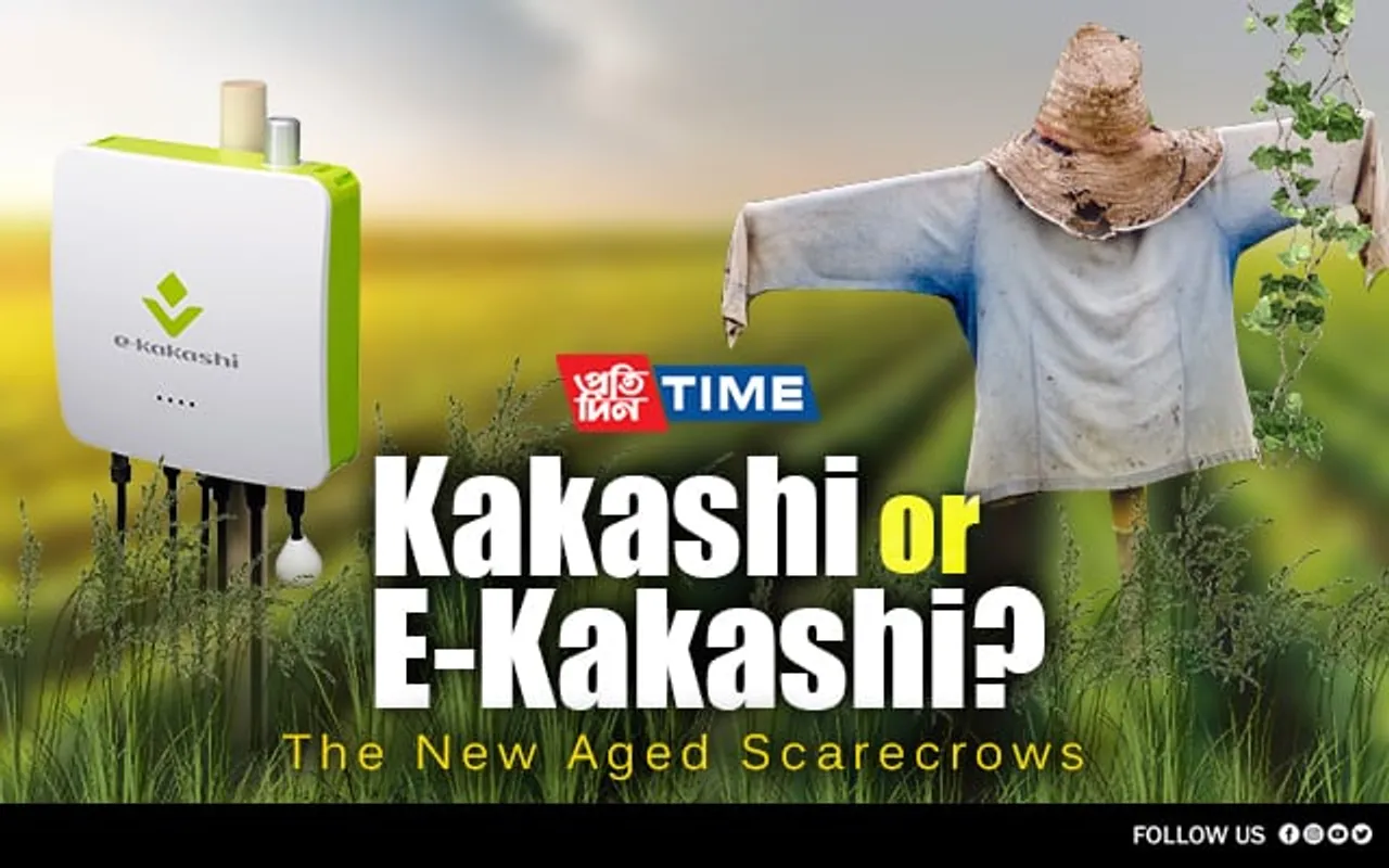 Kakashi or E-Kakashi? The New Aged Scarecrows