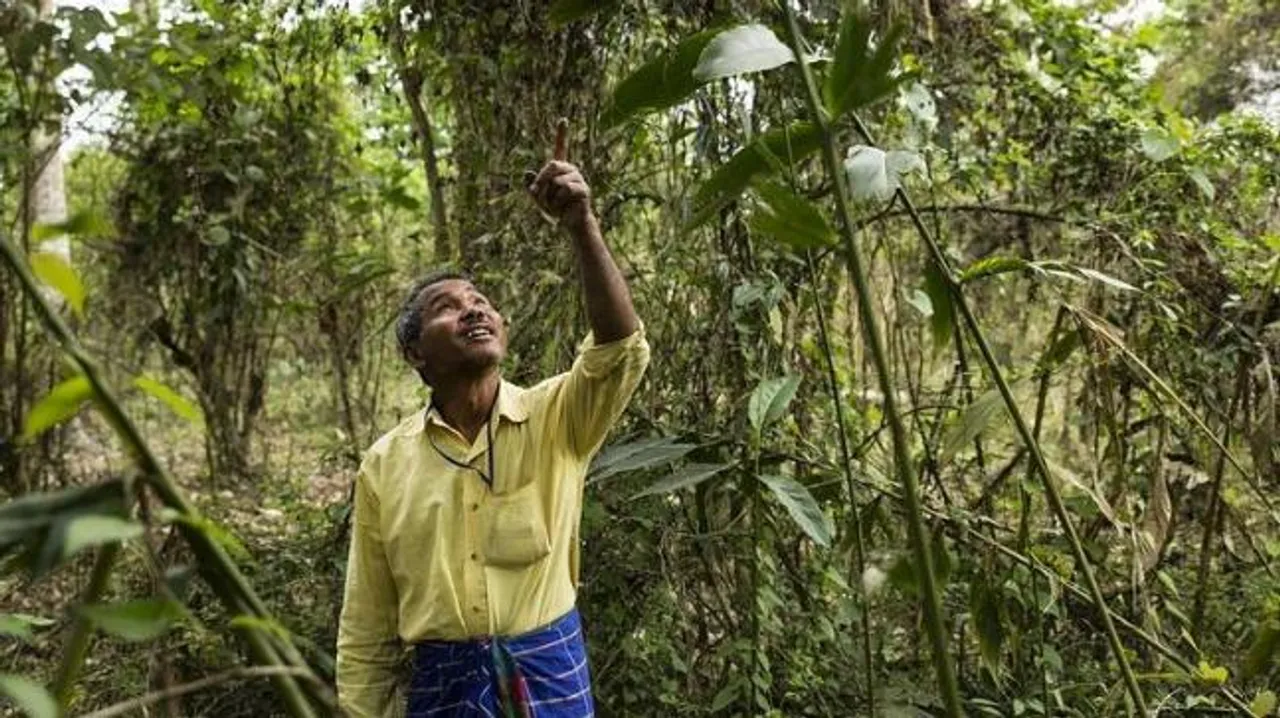 Forest Man Jadav Payeng Strives to Make Mexico Greener