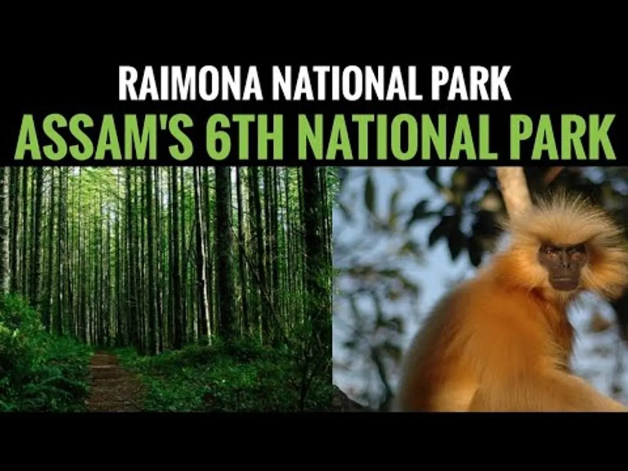 Assam: CM Sarma Declares Raimona Sanctuary as National Park