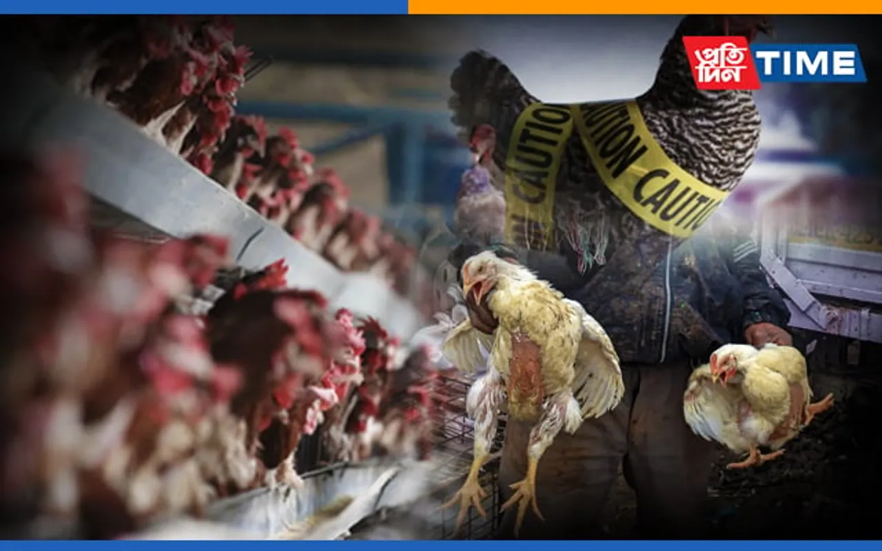 China Reports World’s First Human Case Of H10N3 Bird Flu