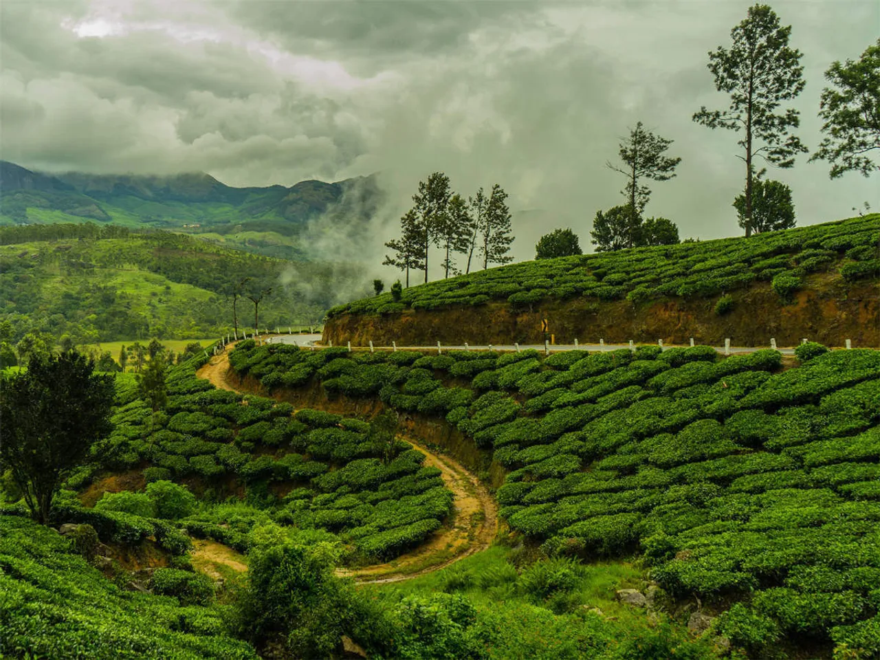 SDG India Index: Assam Ranks 5th In Life On Land Category
