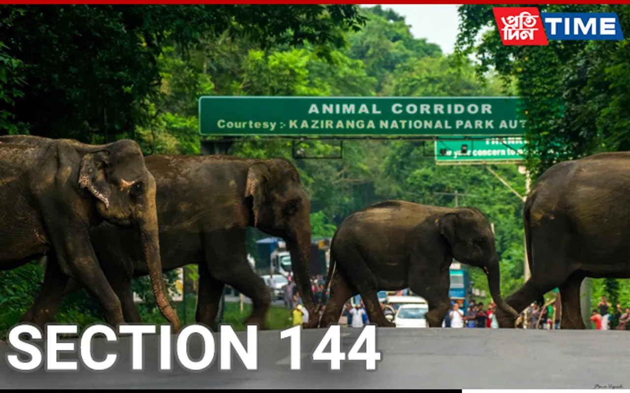 Section 144 Imposed in Animal Corridor of Kaziranga National Park