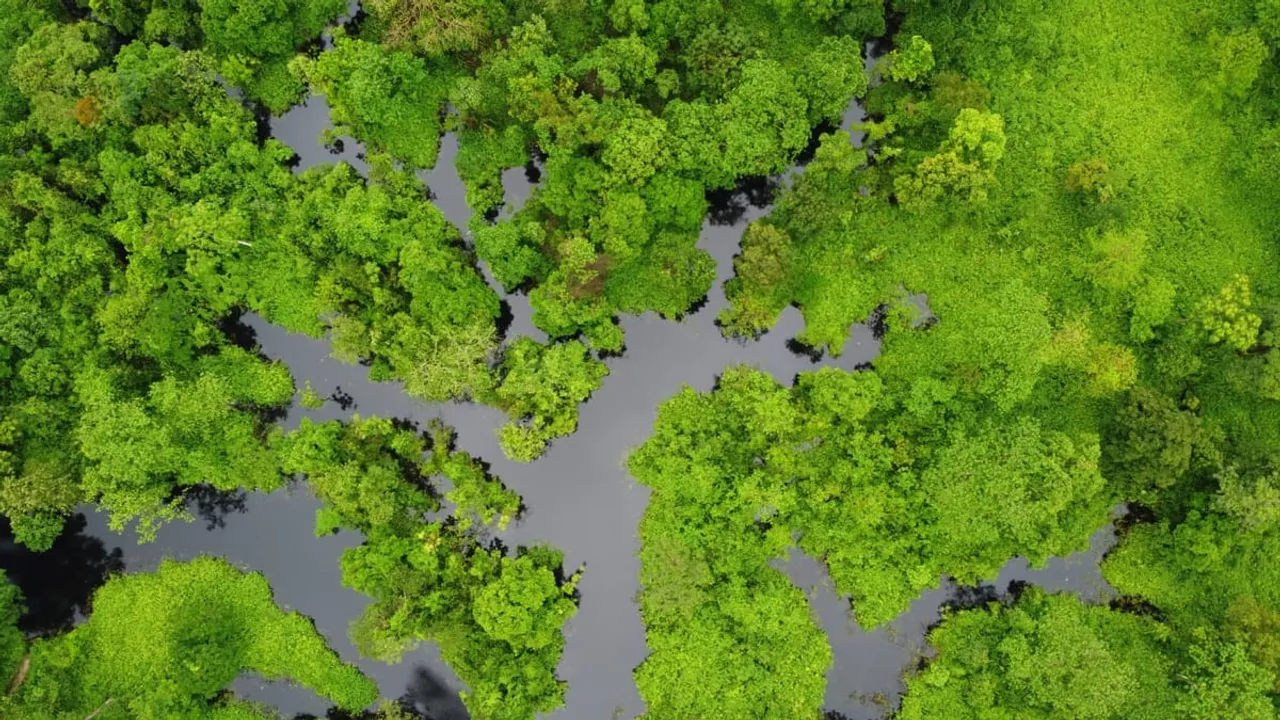 Assam On The Verge Of Losing The Beautiful Behali Reserve Forest