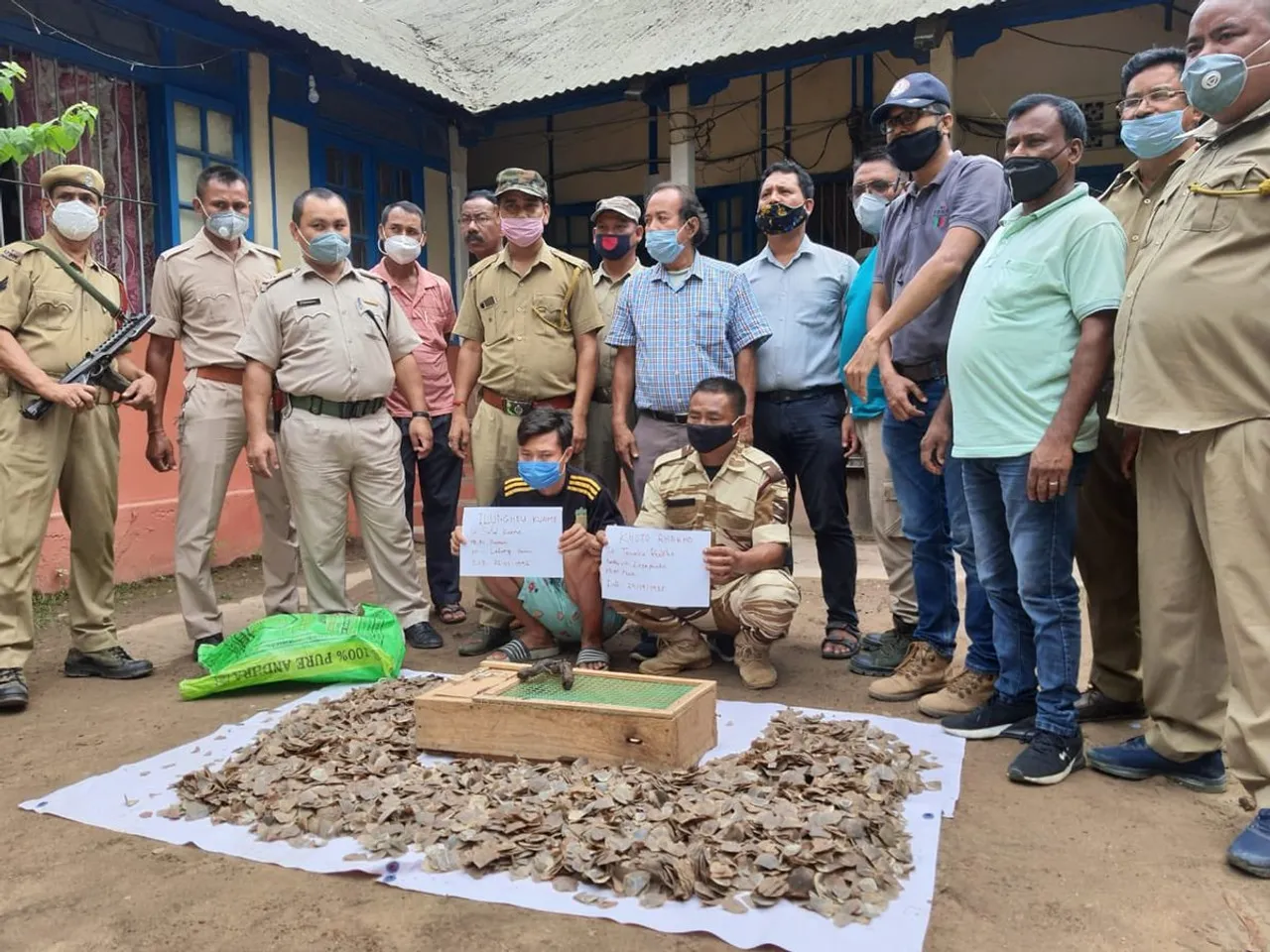 10 Geckos, 10kg Pangolin Skin Recovered In Karbi Anglong, 2 Held