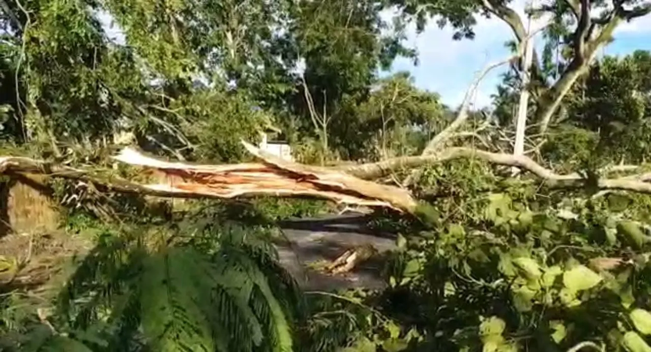 Assam: Devastating Storm In Parts Of Majuli And Dhokuakhana