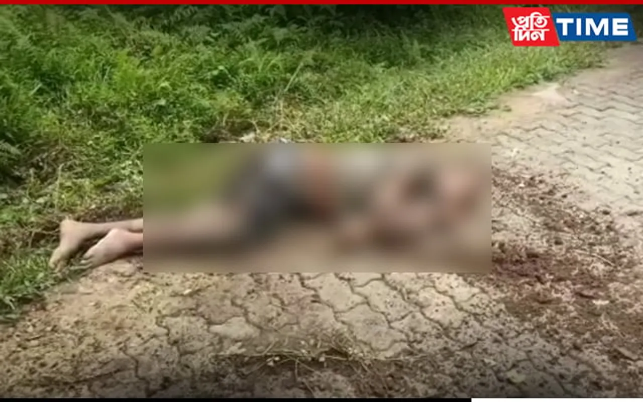 Wild Elephant Kills 1 In Guwahati