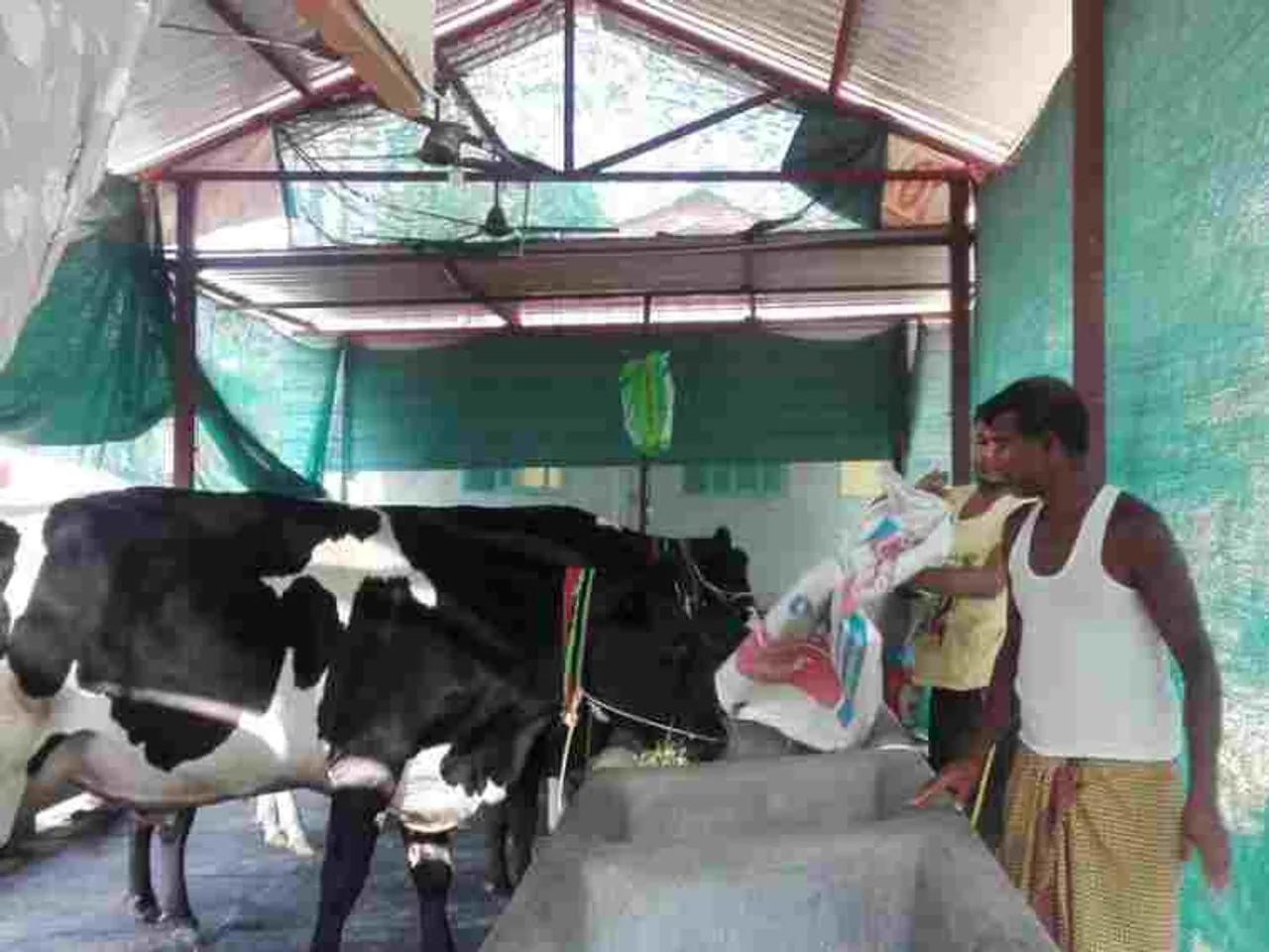 Assam: NDDB To Manage WAMUL For Another 5 Years