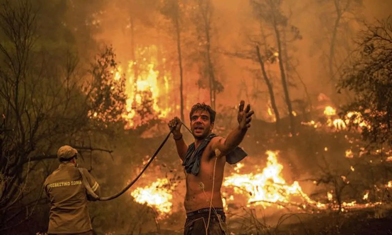 At Least 42 Dead In Algeria Wildfires