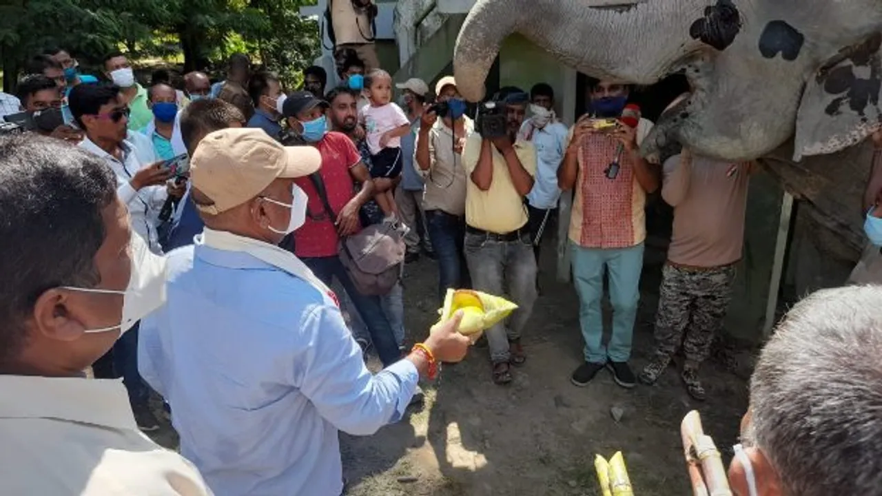 Manas and Kaziranga National Parks Reopen for Tourists Today