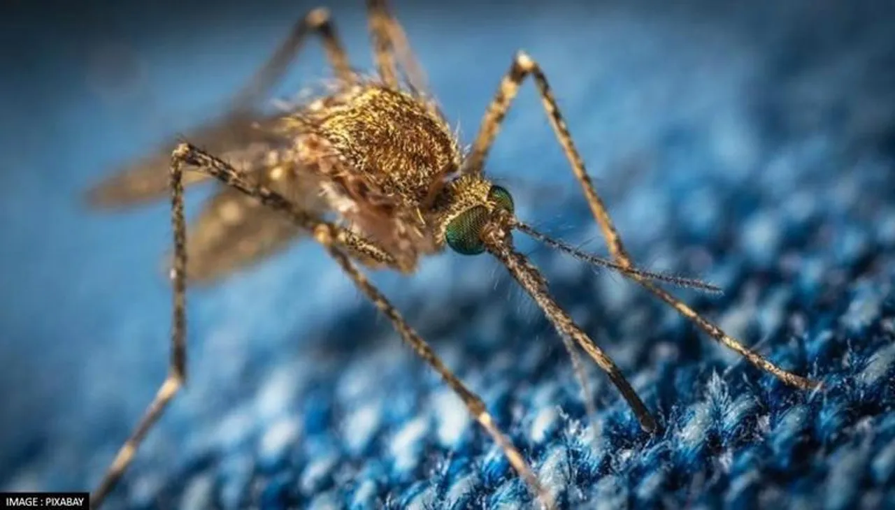 First Case Of Zika Virus Reported In UP, Centre Rushes High-Level Team
