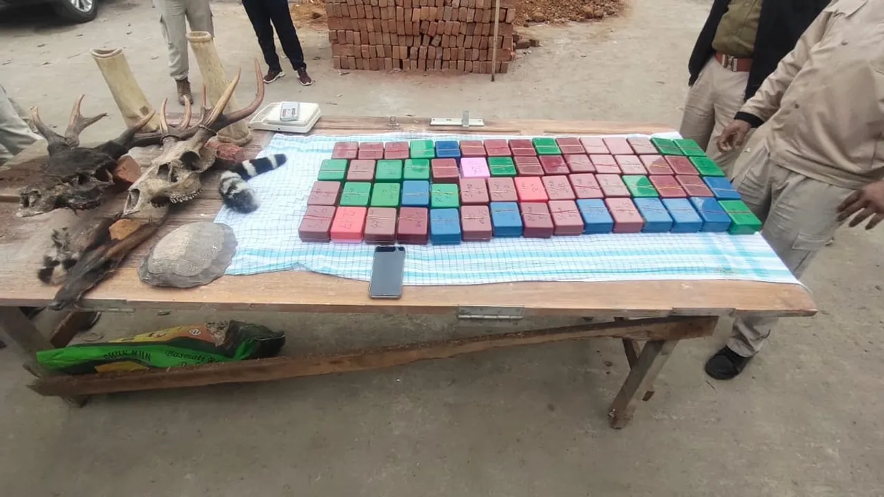 Assam: Drugs Along With Illegal Wildlife Products Seized In Karbi Anglong, 2 Held