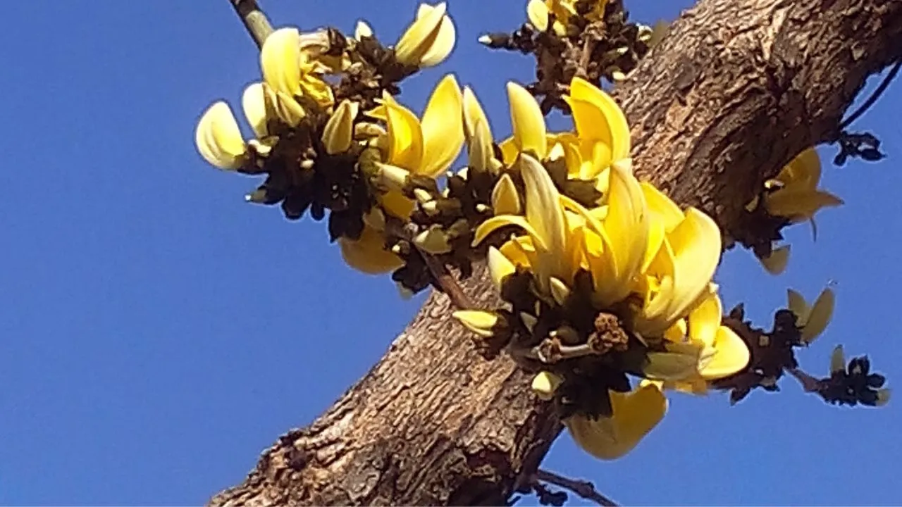 Red Bold Finance YouTube Thumbnail (7)