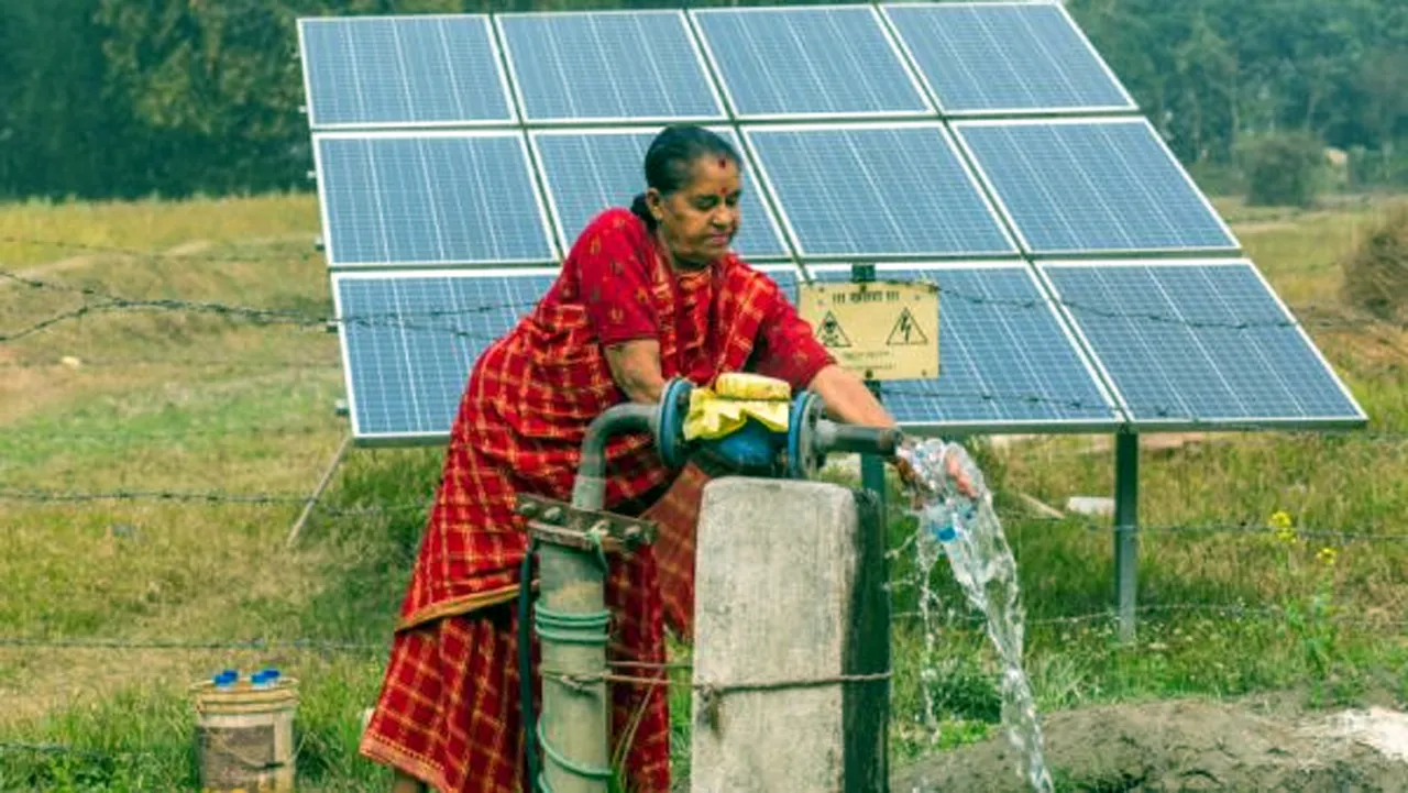 solar panel hadled by women